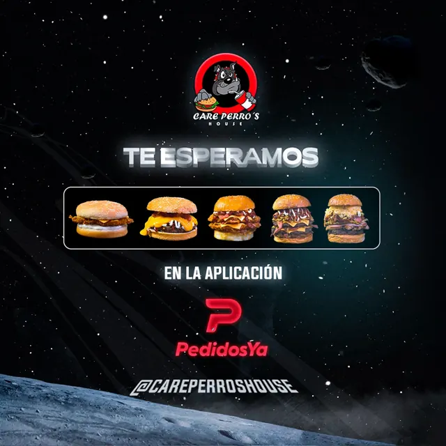 Care Perro's 3