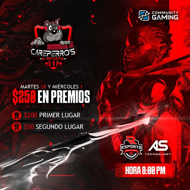 Care Perro's 4